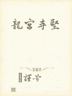 龙宫寺坚封面