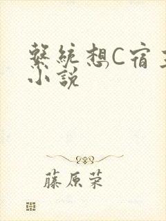 系统想C宿主的小说