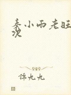 秦小雨老旺第一次