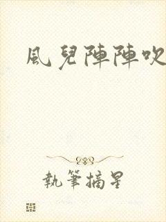 风儿阵阵吹封面