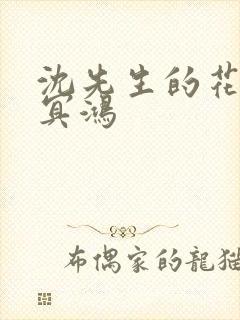 沈先生的花式调冥鸿