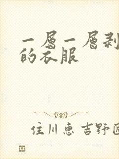 一层一层剥开你的衣服