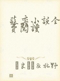 苏奕小说全文免费阅读封面