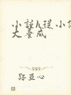 小说h从小做到大养成