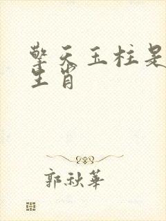 擎天玉柱是什么生肖