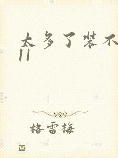 太多了装不下H11封面