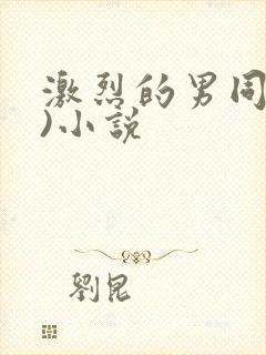 激烈的男同(h)小说