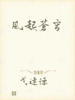 风起苍穹封面