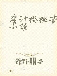 蜜汁樱桃苦咖啡小说