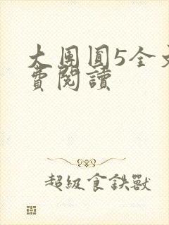 大团圆5全文免费阅读