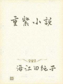 重紫小说