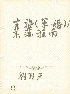 有染(军婚)/叶落淮南