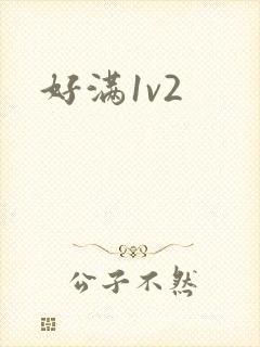 好满1v2