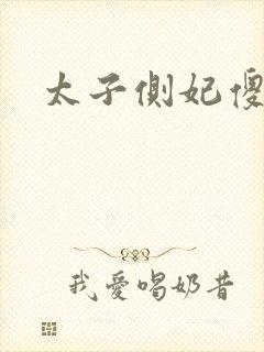 太子侧妃傻乎乎