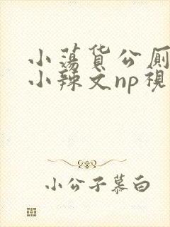 小荡货公厕h文小辣文np视频