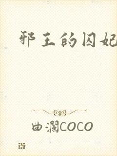 邪王的囚妃封面