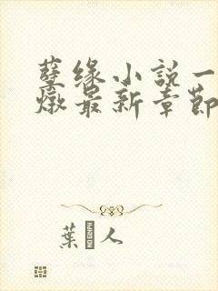 孽缘小说一家乱炖最新章节阅读封面