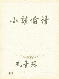 小说偷情