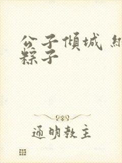 公子倾城 维和粽子