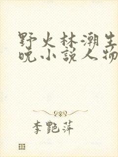 野火林潮生林晚晚小说人物野火
