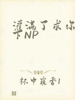 灌满了求你们停下NP