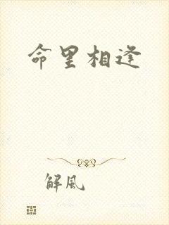 命里相逢