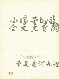 小瞎子by苏软全文免费阅读