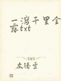 一泻千里金银花露txt封面