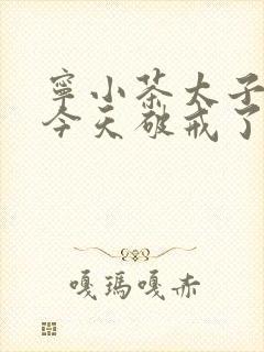 宁小茶太子殿下今天破戒了吗免费阅读