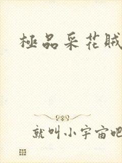 极品采花贼封面