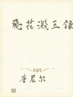 飞花溅玉录