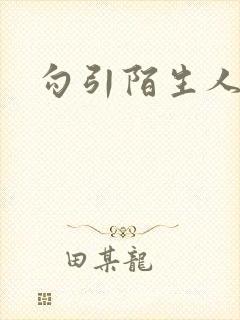 勾引陌生人封面