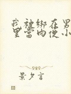 我被绑在男公厕里当肉便小说