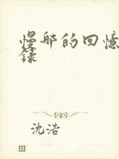 慢哪的回忆录目录封面