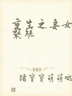 重生之妻女掠夺系统封面