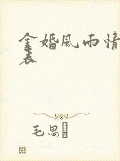 金婚风雨情演员表封面