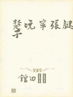 楚晚宁张腿放棋子