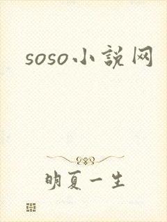 soso小说网封面