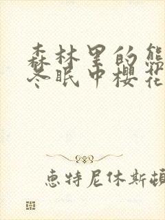 森林里的熊先生冬眠中樱花动漫