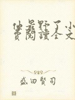 他最野了小说免费阅读全文