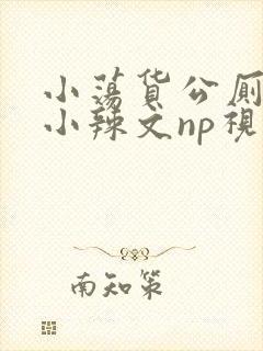 小荡货公厕h文小辣文np视频