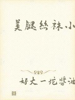 美腿丝袜小说封面