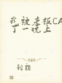 我被老板CAO了一晚上