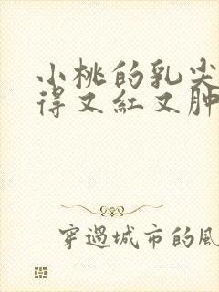 小桃的乳尖被吸得又红又肿