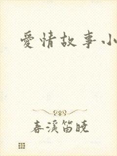 爱情故事小说