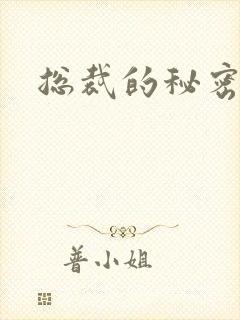 总裁的秘密情人