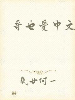 哥也爱中文封面