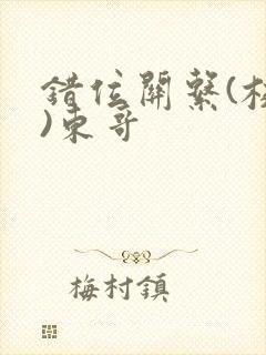 错位关系(校园)东哥