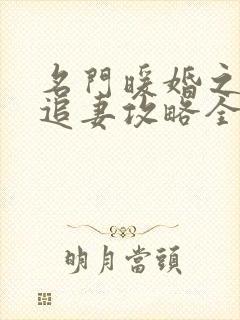 名门暖婚之权爷追妻攻略全文免费阅读