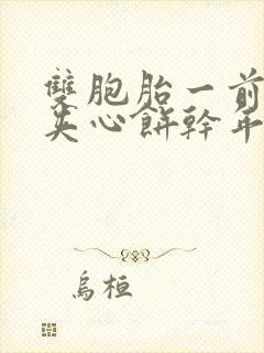 双胞胎一前一后夹心饼干年下